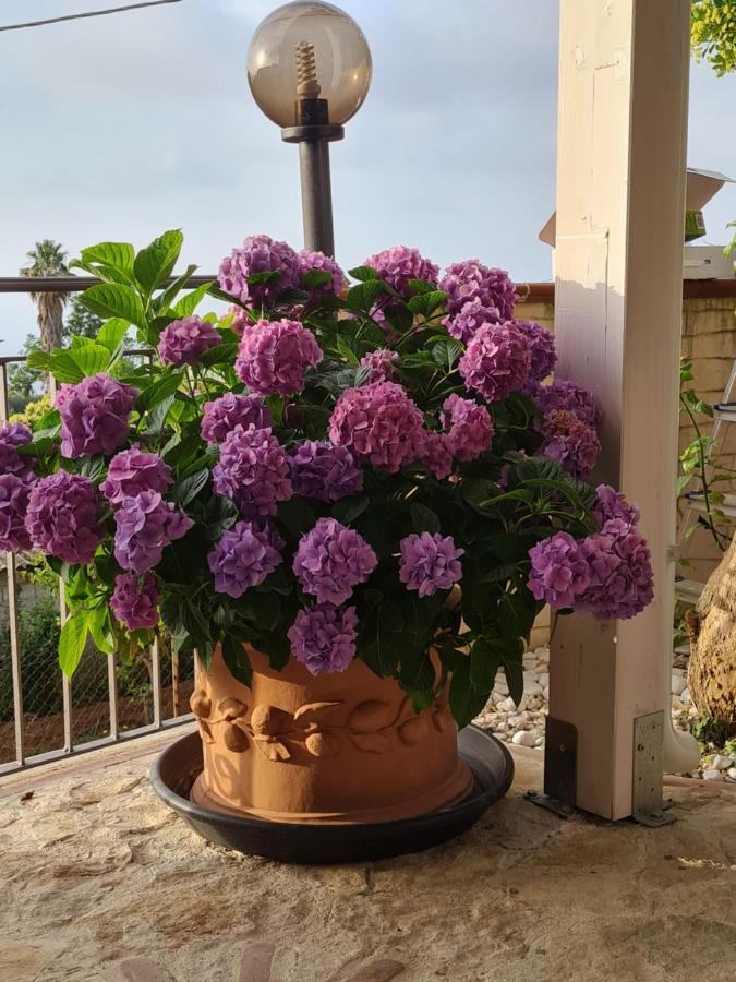 B&B La Casa Di Martina Zambrone Szoba fotó
